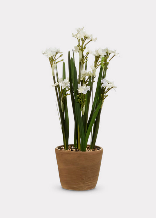 Fake Potted Paperwhite Flower Arrangement - 20"
