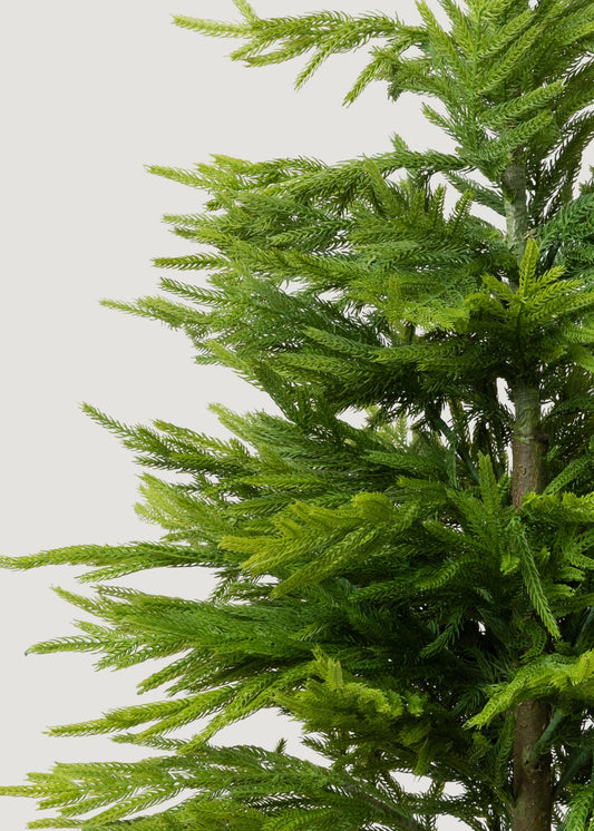 Afloral™ Fake Potted Norfolk Pine Tree - 48"