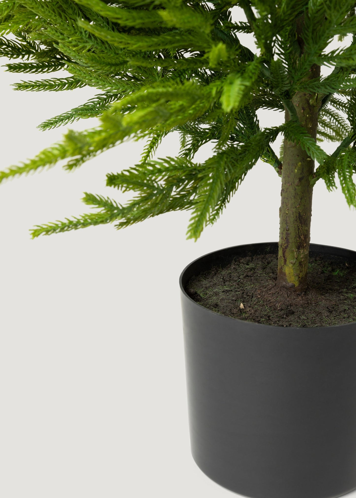 Afloral™ Fake Potted Norfolk Pine Tree - 48"