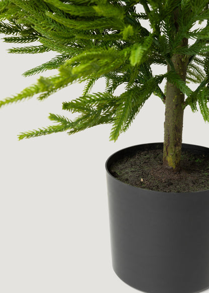 Afloral™ Fake Potted Norfolk Pine Tree - 48"