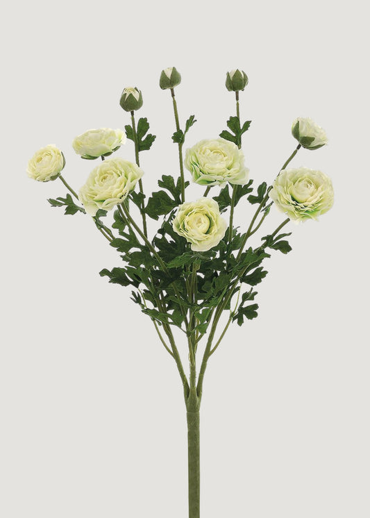 Artificial Ranunculus Flower Bush in Cream - 19"