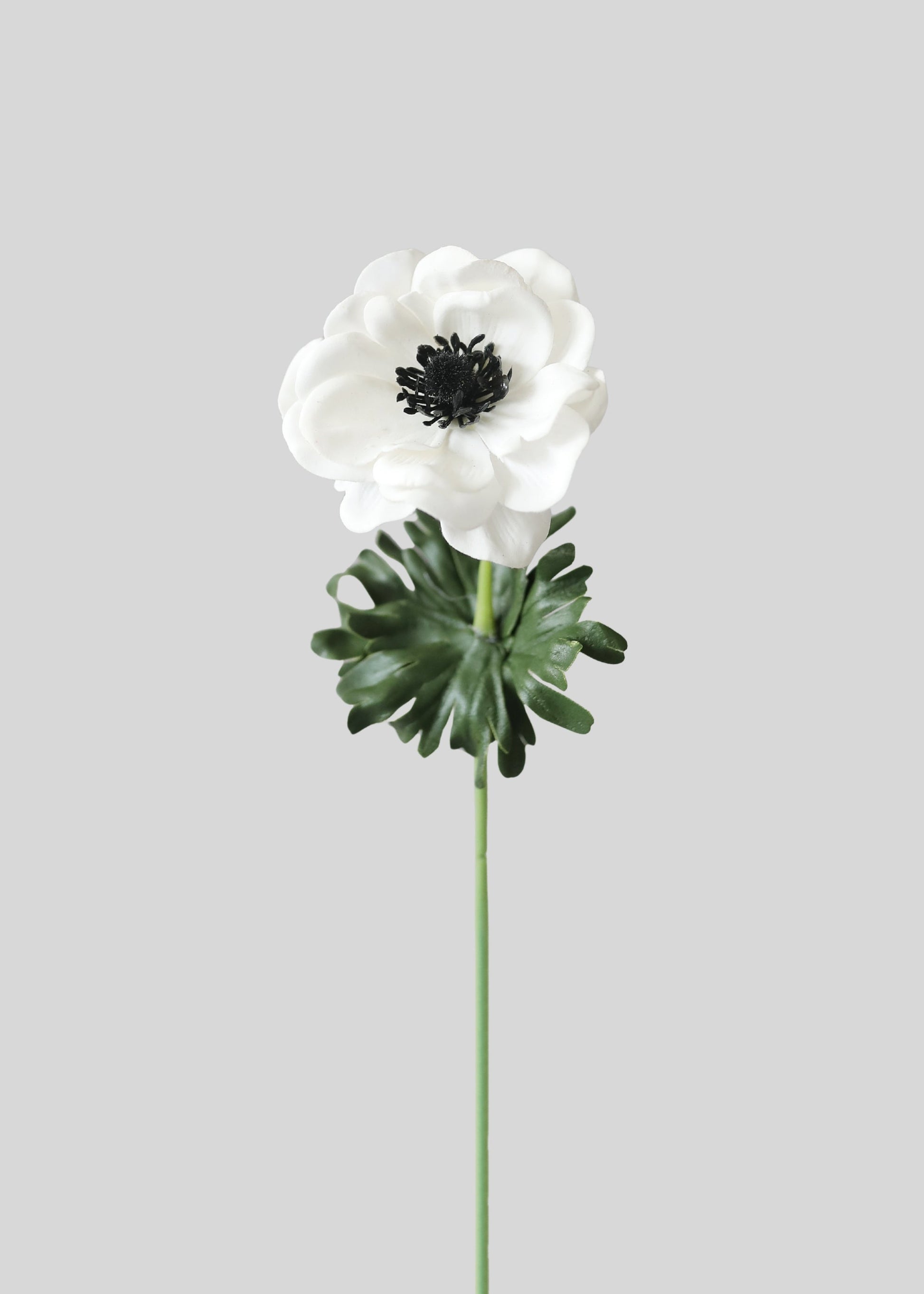 White Anemone Real Touch Fake Flower - 14"