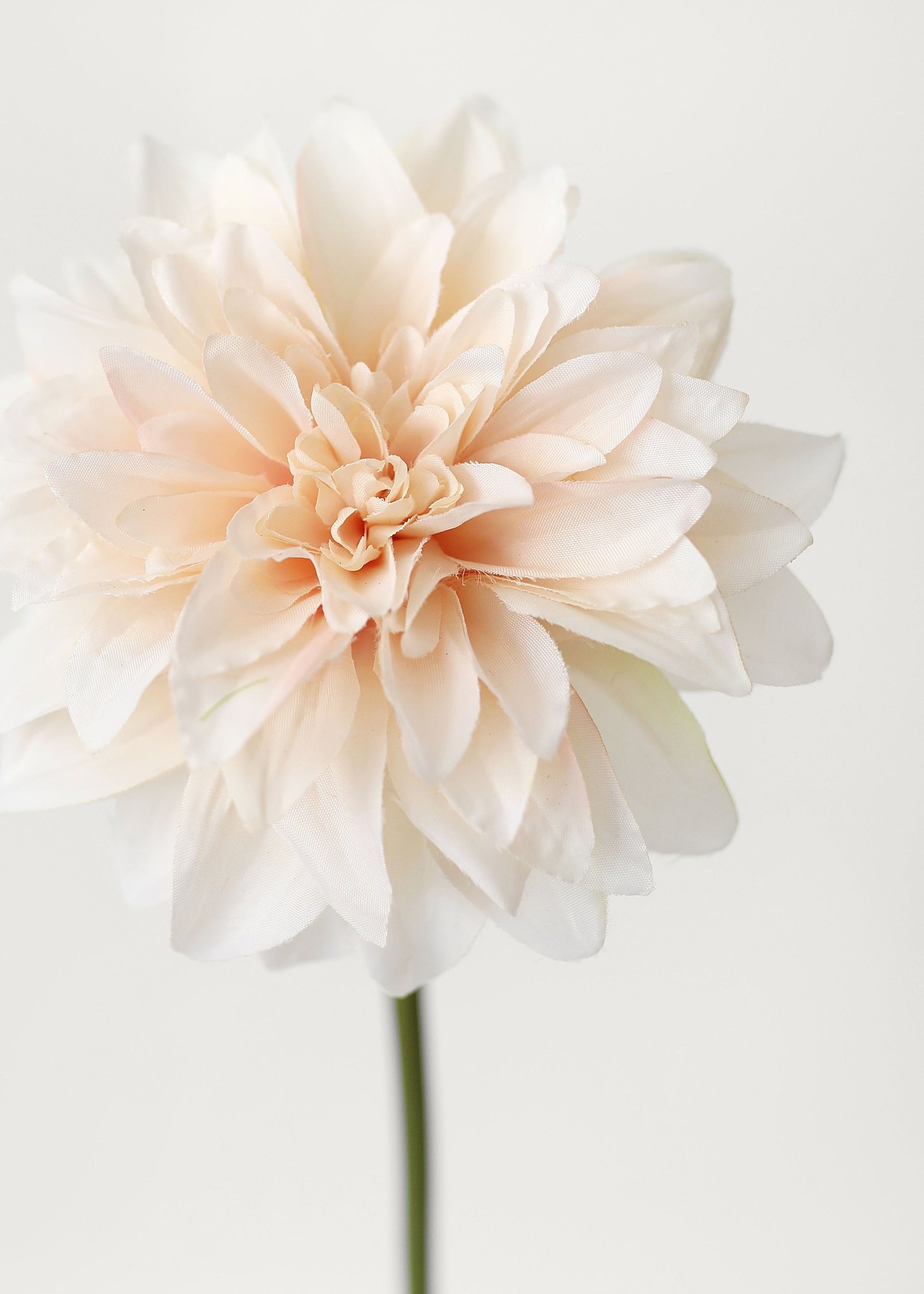 Blush Peach Dahlia Silk Flower - 19"