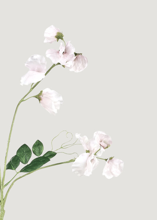 Cream Fake Sweet Pea Wildflowers - 26.75"