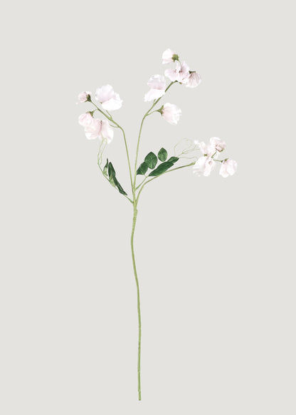 Cream Fake Sweet Pea Wildflowers - 26.75"