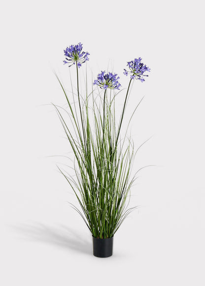 Blue Artificial Agapanthus Grass in Pot - 47"