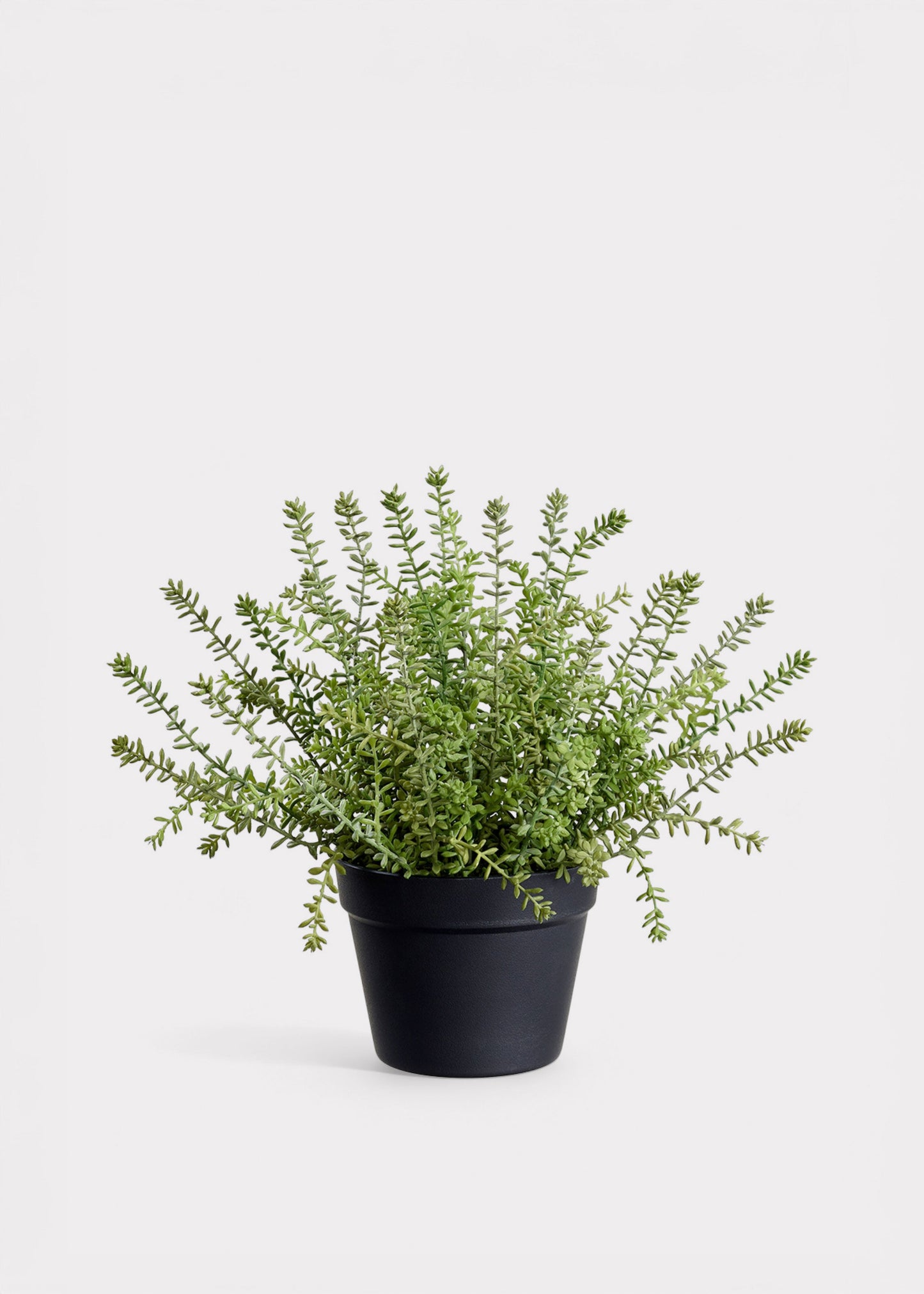 Fake Plants Potted Sedum Succulent in Plastic Pot - 15.5"