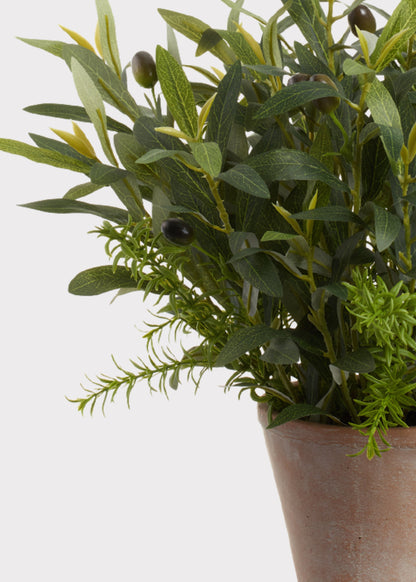 Fake Olive Leaf and Rosemary Plant in Cement Pot - 17"