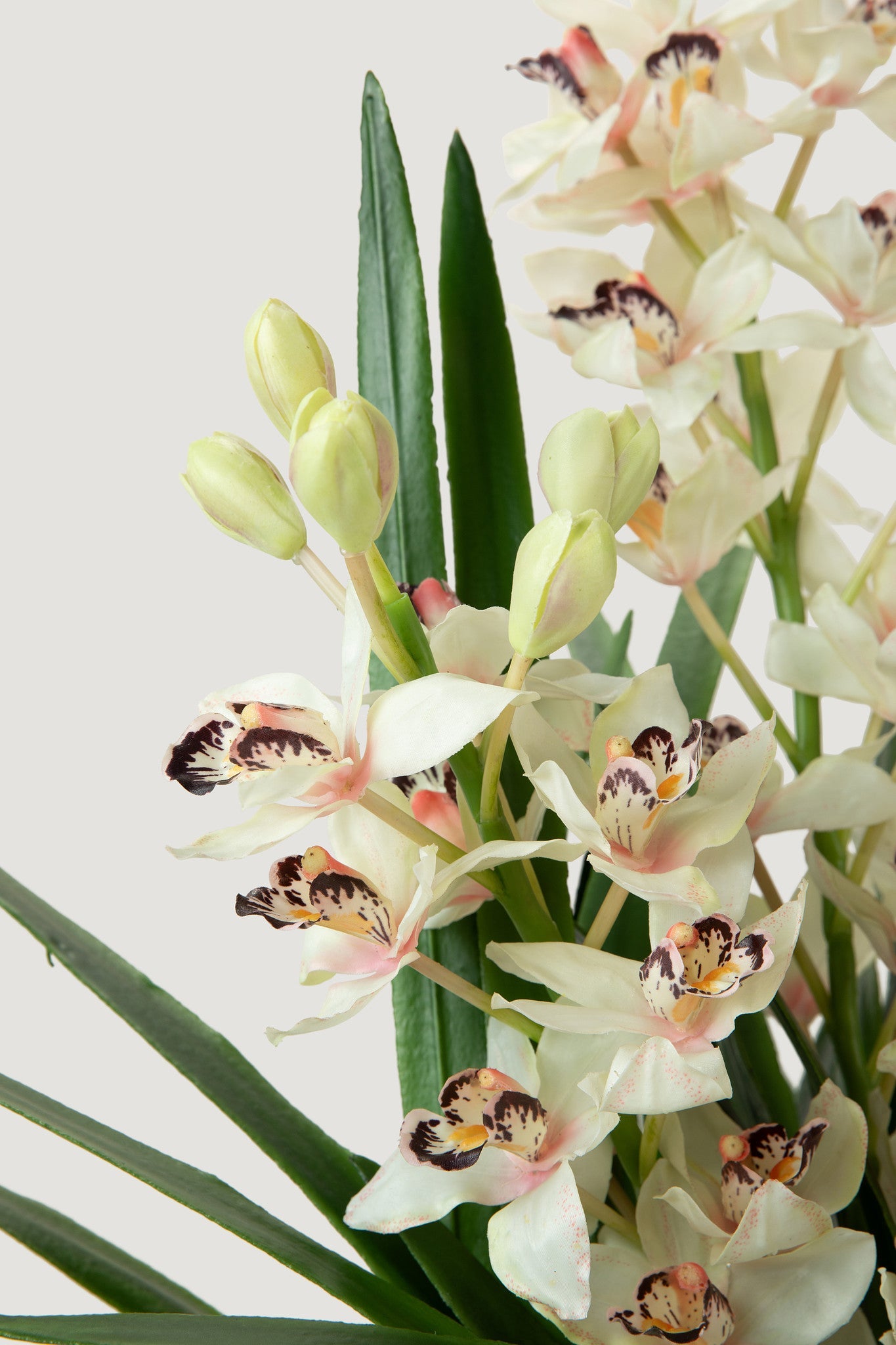 Cymbidium Orchid Potted Fake Plant in Glass Vase - 36"