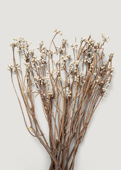 Natural Dried Flowers Tall Tallow Berry Bundle - 23-27.5"