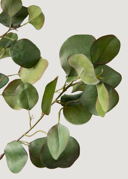 Faux Silver Dollar Eucalyptus Branch - 39"