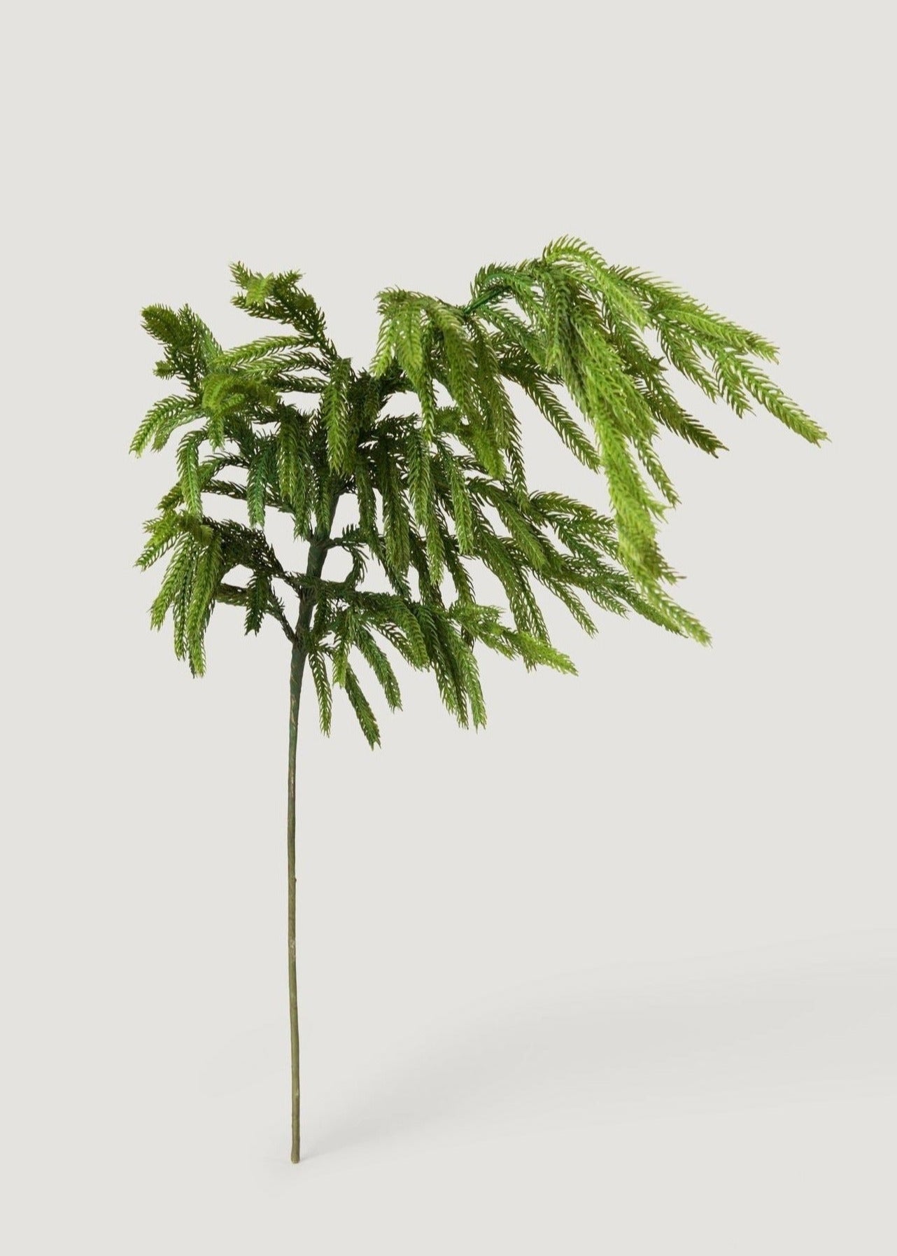 Afloral™ Real Touch Norfolk Pine Branch - 36"