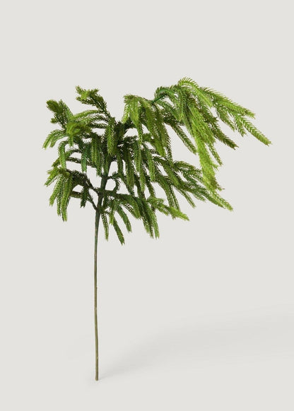 Afloral™ Real Touch Norfolk Pine Branch - 36"