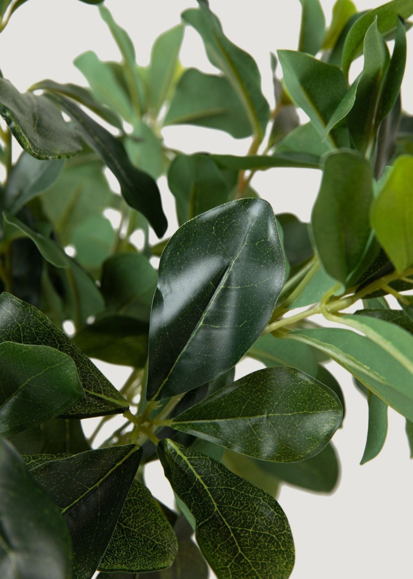 Natural Touch Artificial Wax Privet Leaf Plant - 15"