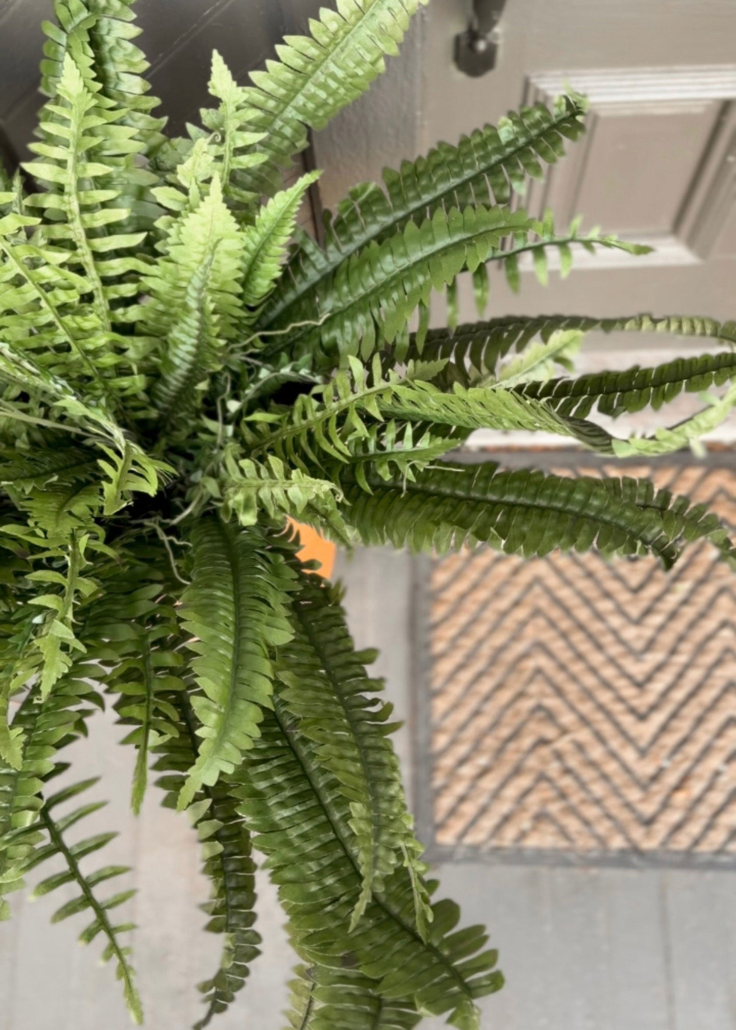 Large UV Resistant Outdoor Fake Boston Fern Plant - 38"