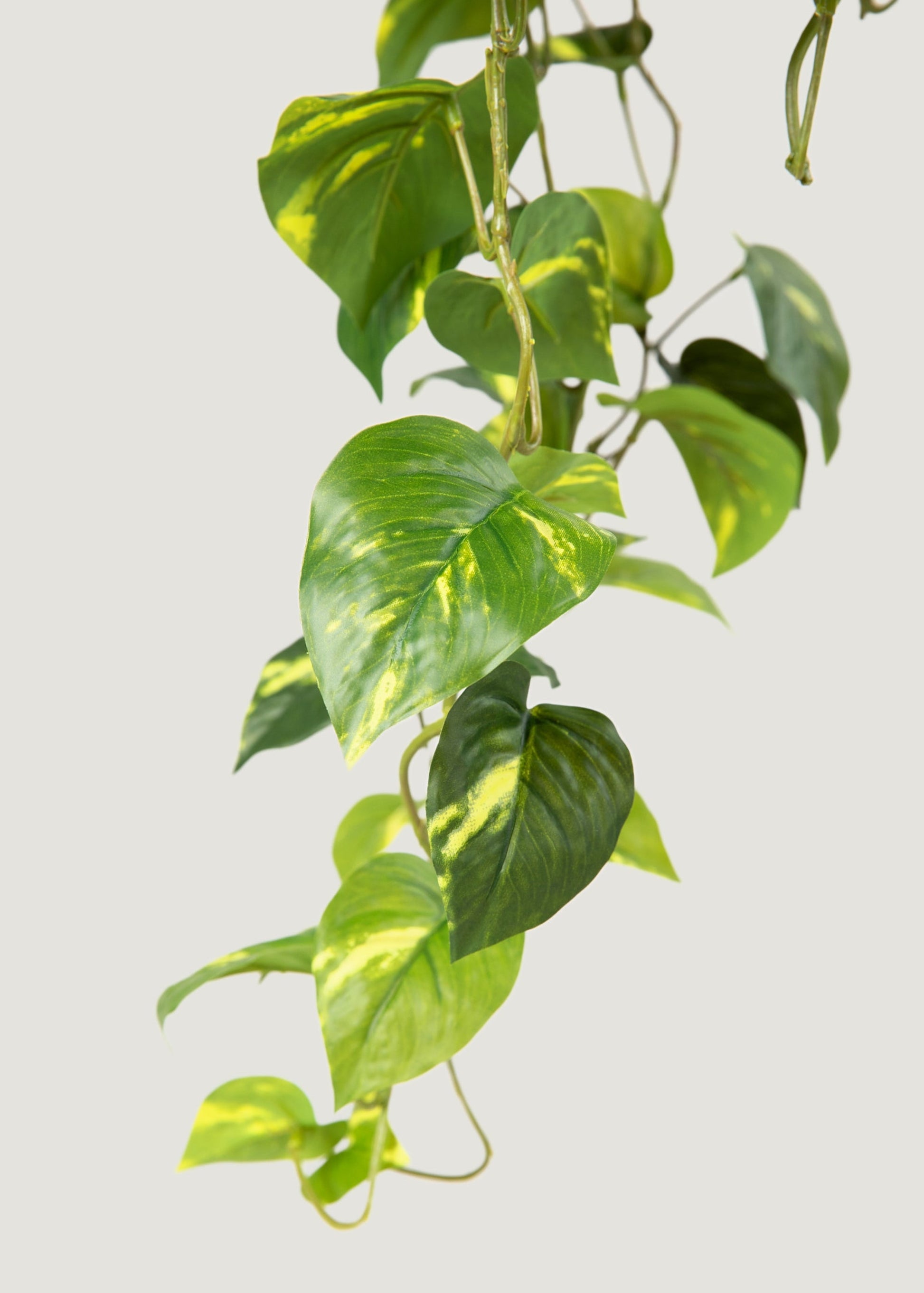 Deluxe Real Touch Pothos Fake Hanging Plant - 36"