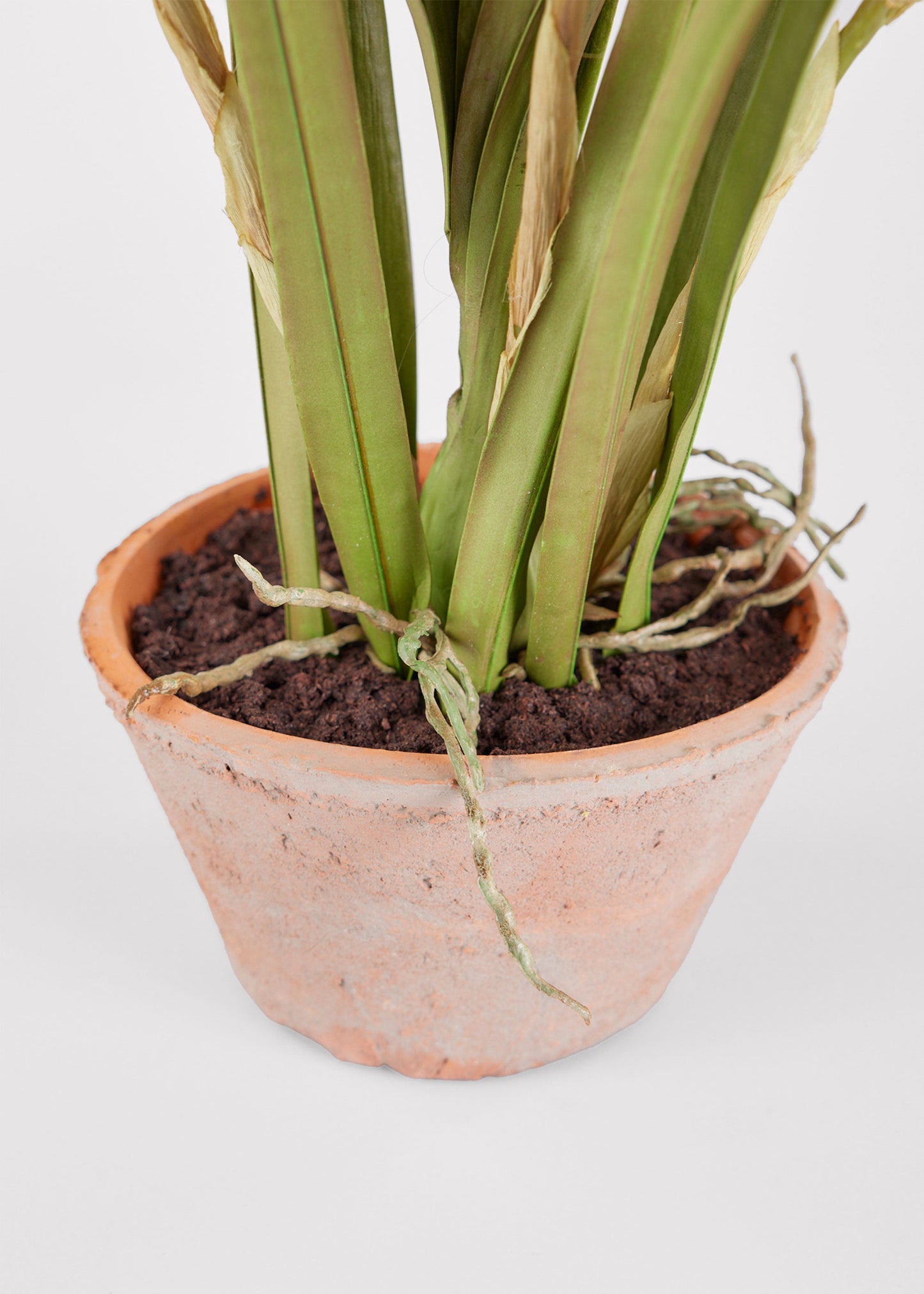 Artificial Cymbidium Orchid Potted Arrangement - 17"