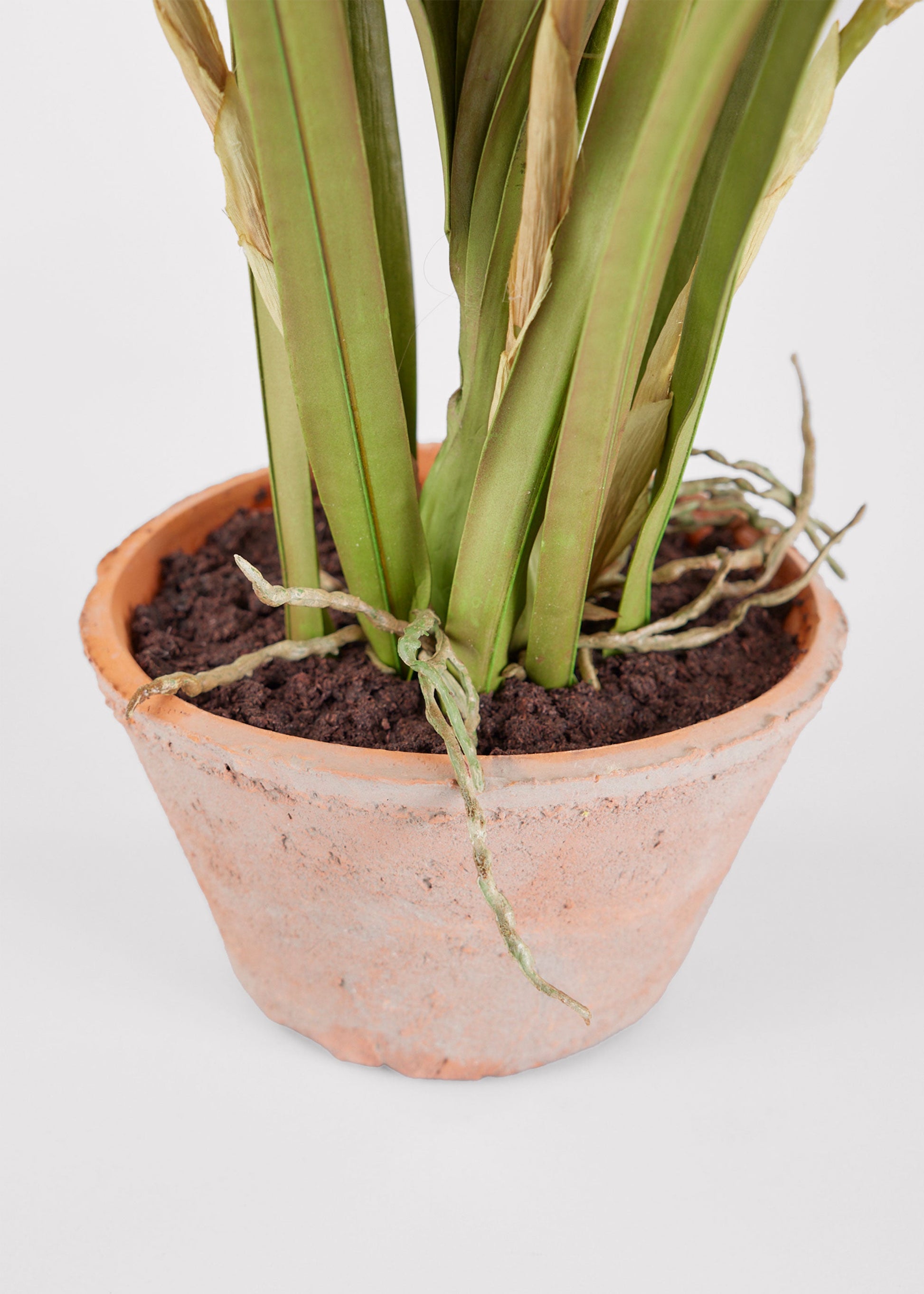 Artificial Cymbidium Orchid Potted Arrangement - 17"