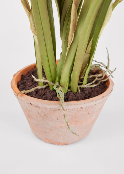 Artificial Cymbidium Orchid Potted Arrangement - 17"