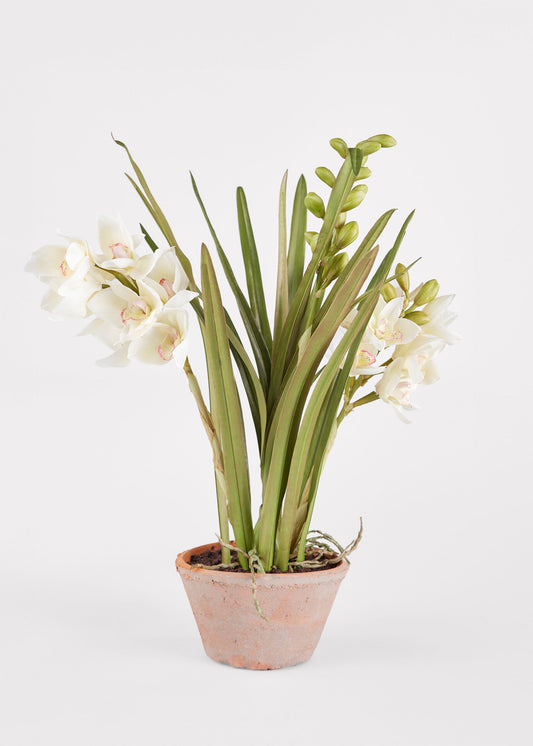 Artificial Cymbidium Orchid Potted Arrangement - 17"