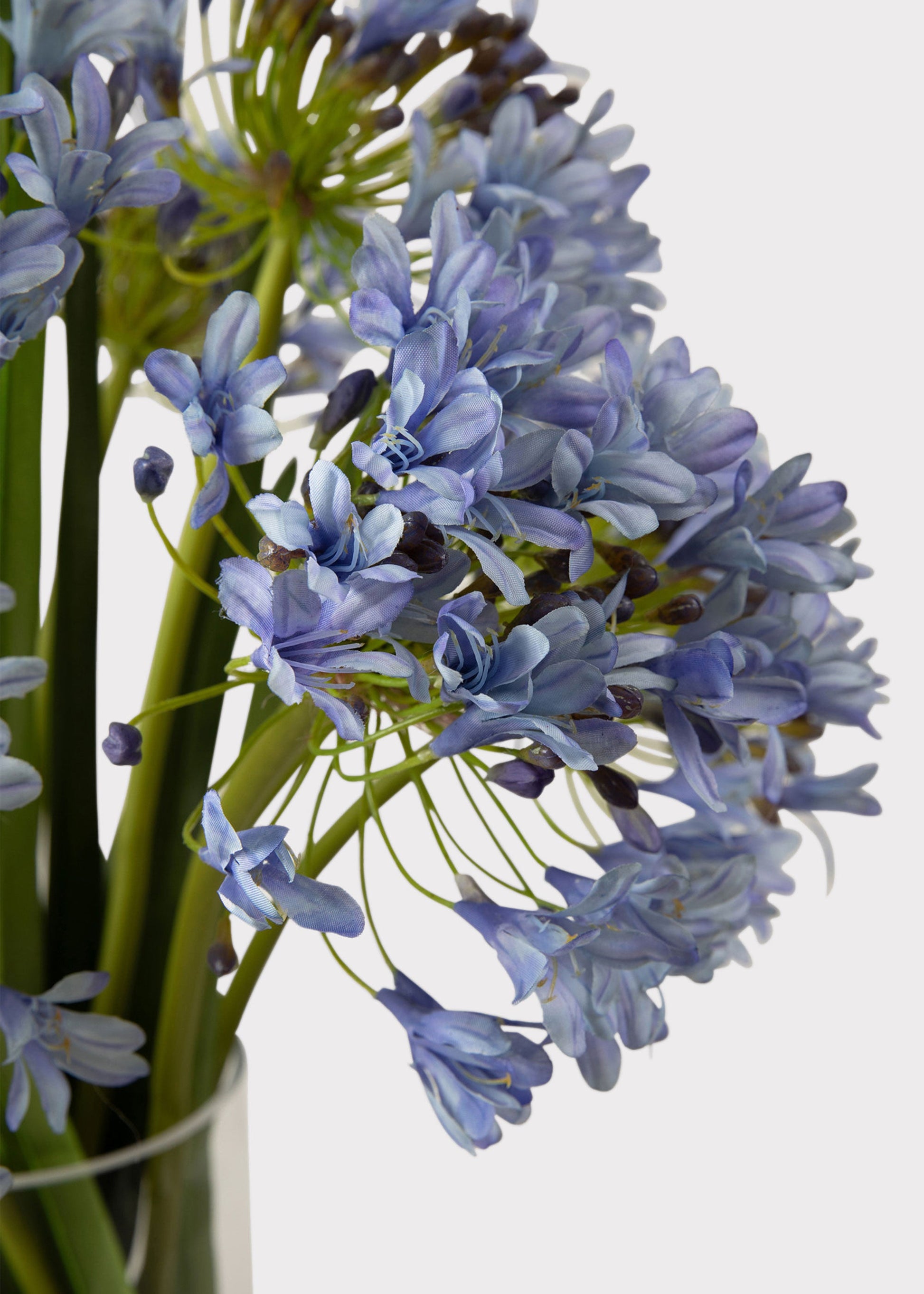 Blue Faux Agapanthus Flower Arrangement in Glass Vase - 31"