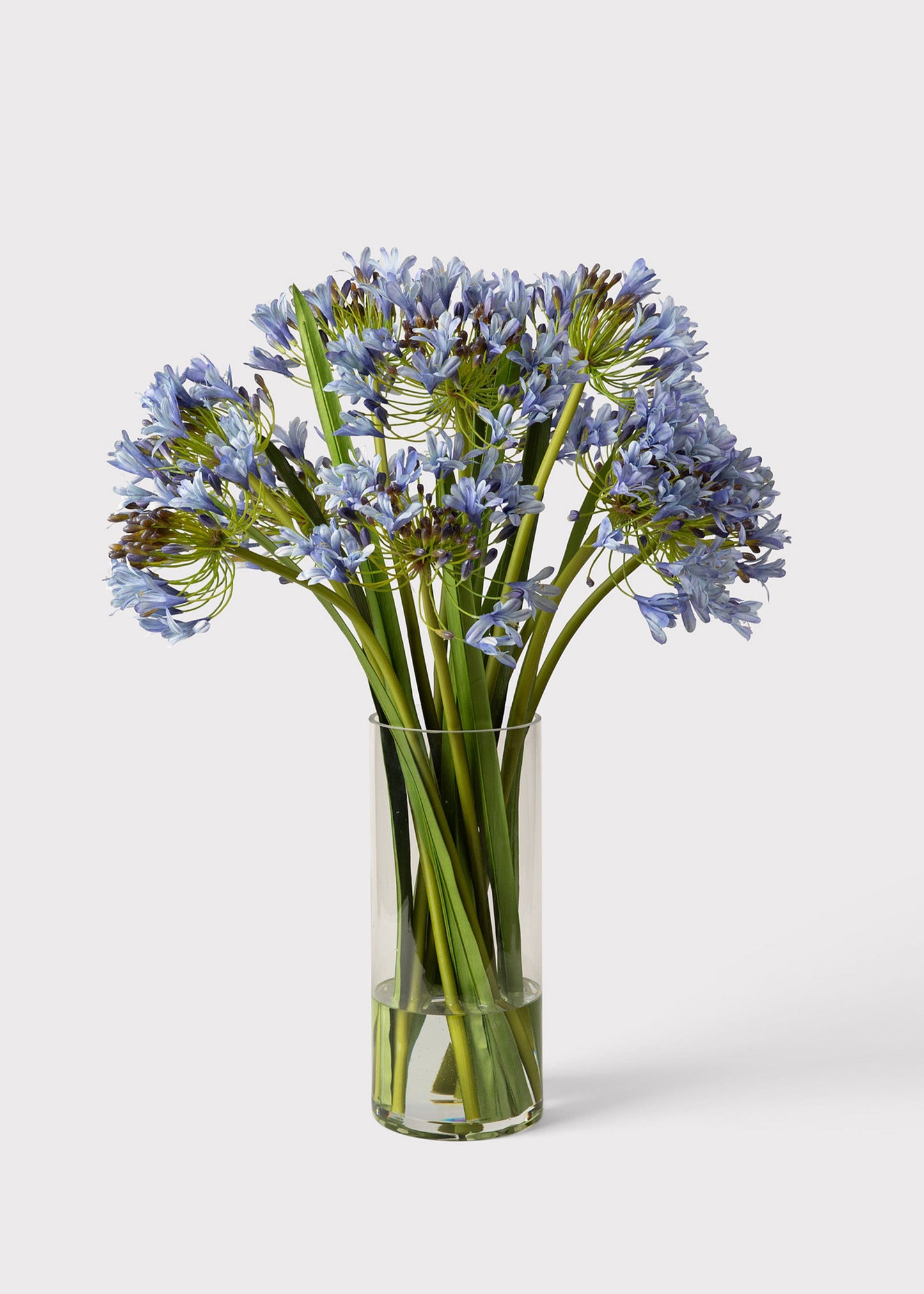 Blue Faux Agapanthus Flower Arrangement in Glass Vase - 31"