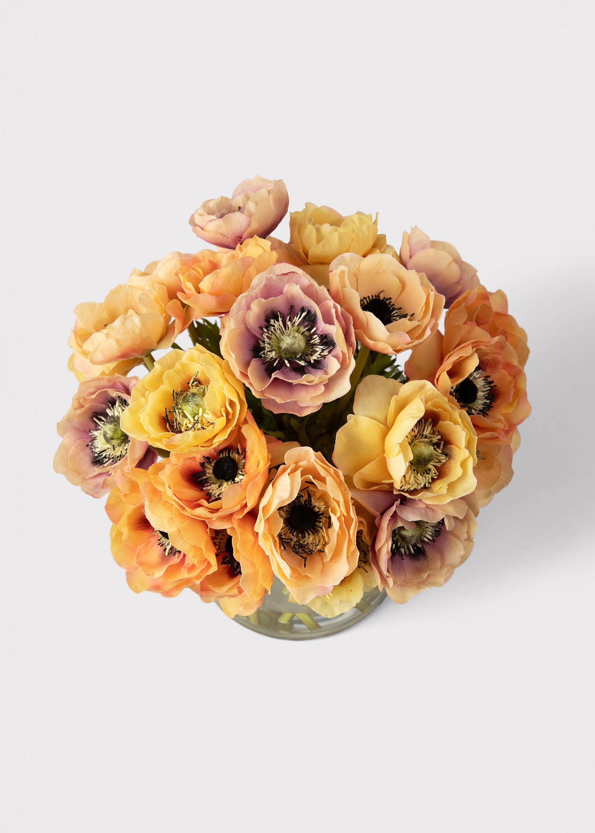 Natural Touch Anemone Flower Arrangement in Glass Vase - 12"