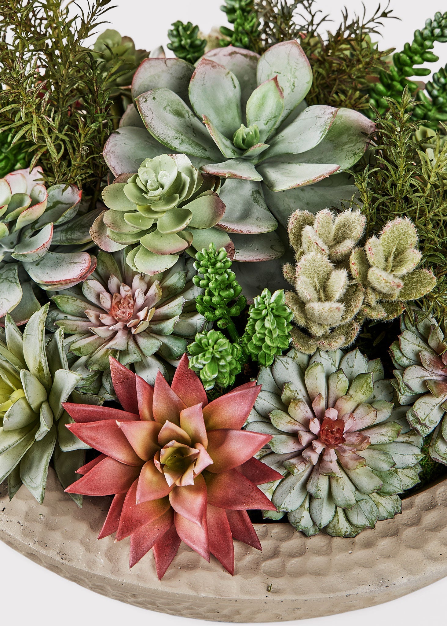 Faux Potted Plant Arrangement of Succulents - 13"