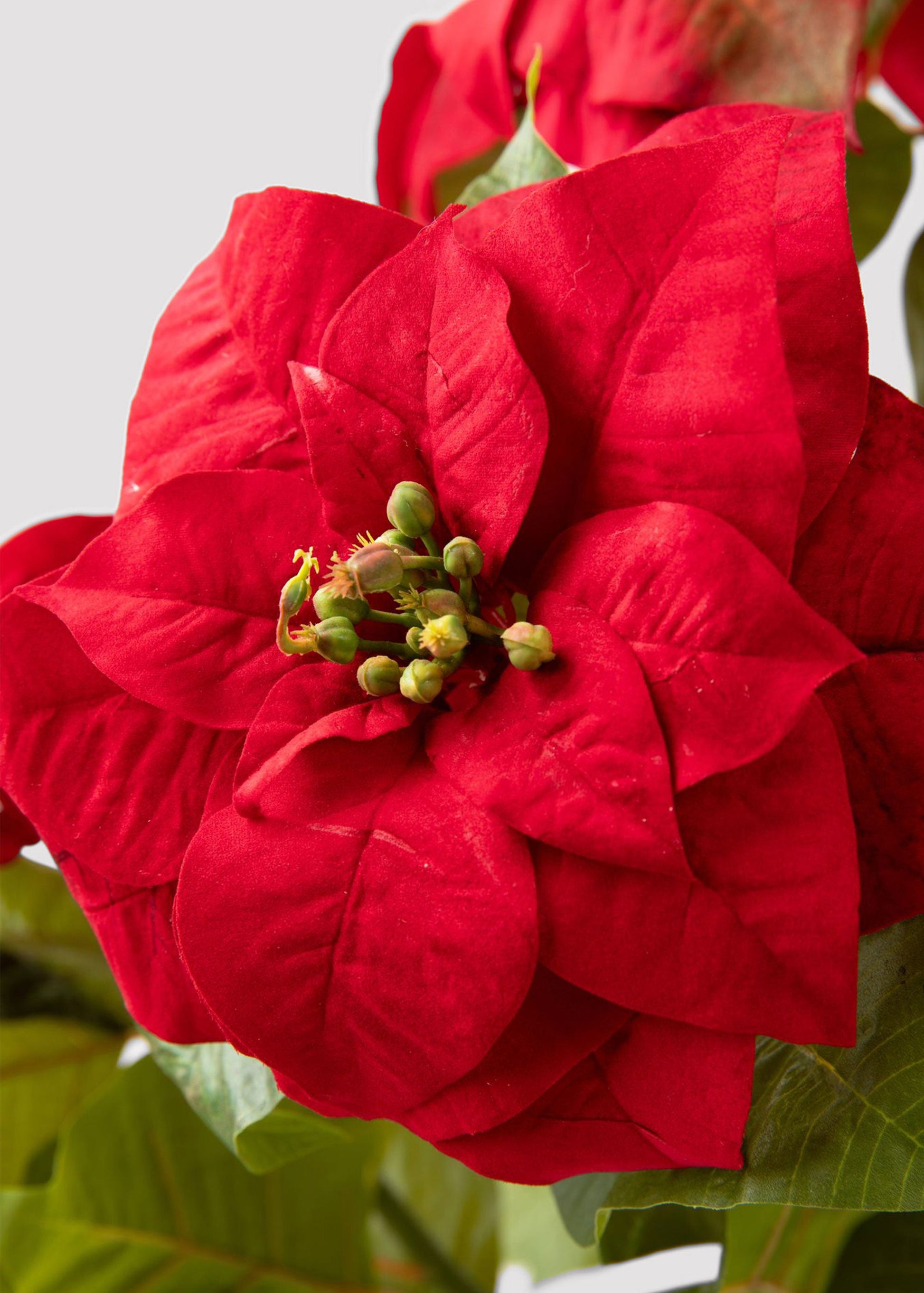 SALE - Tabletop Artificial Poinsettia Tree - 36"