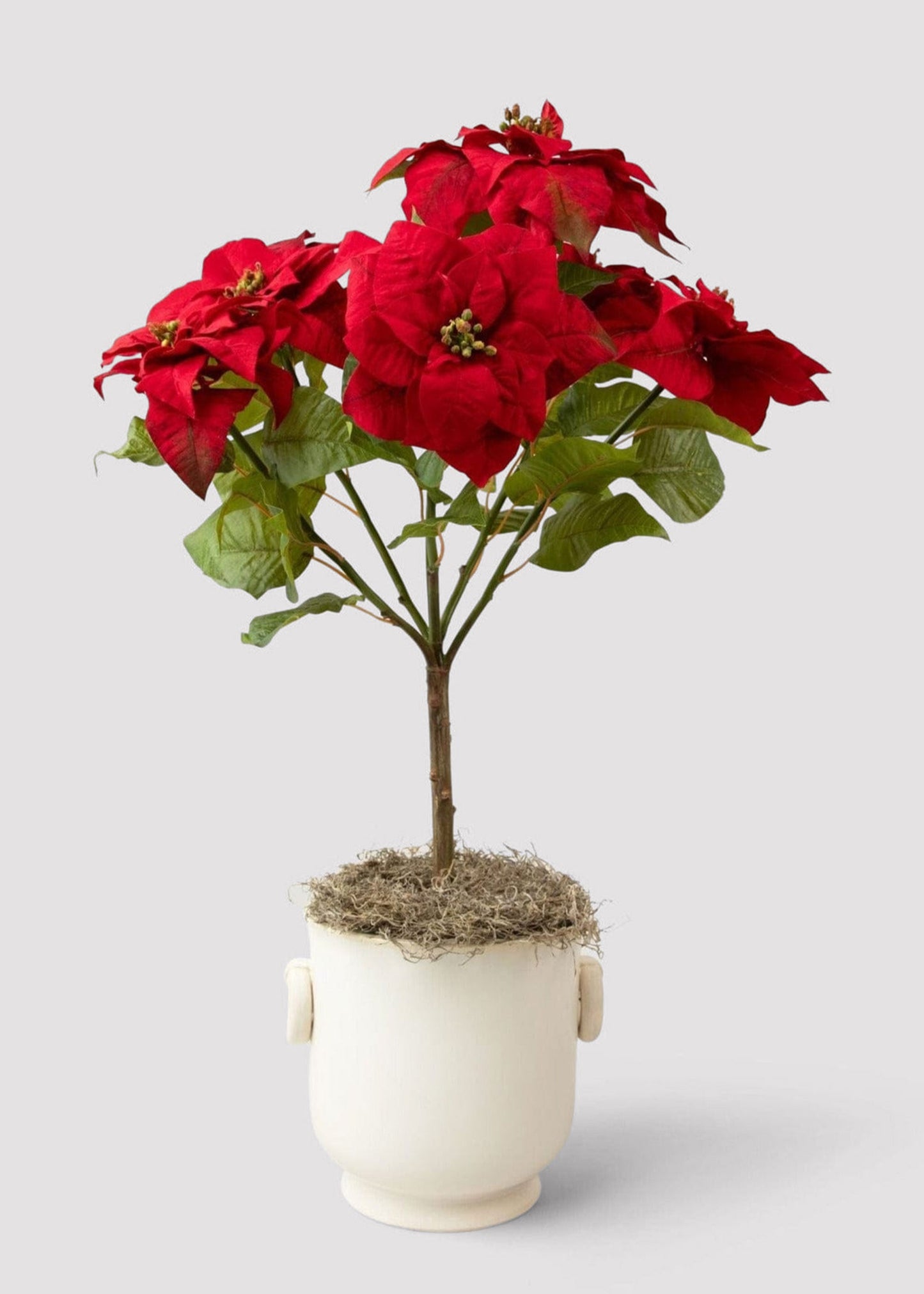 SALE - Tabletop Artificial Poinsettia Tree - 36"