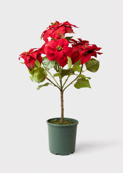 SALE - Tabletop Artificial Poinsettia Tree - 36"