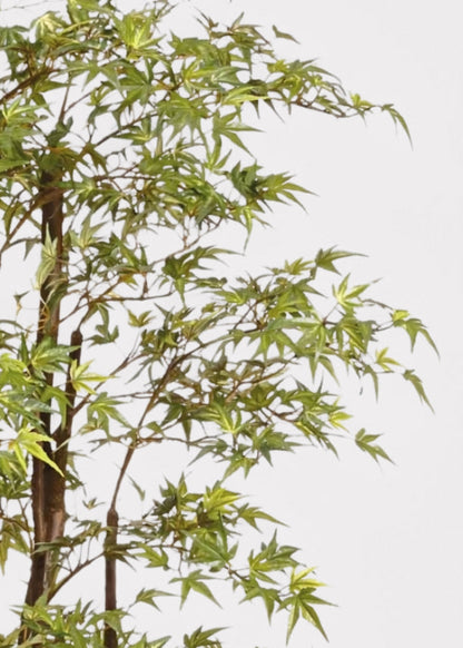 Faux Potted Japanese Maple Tree in Cement Pot - 6.5'