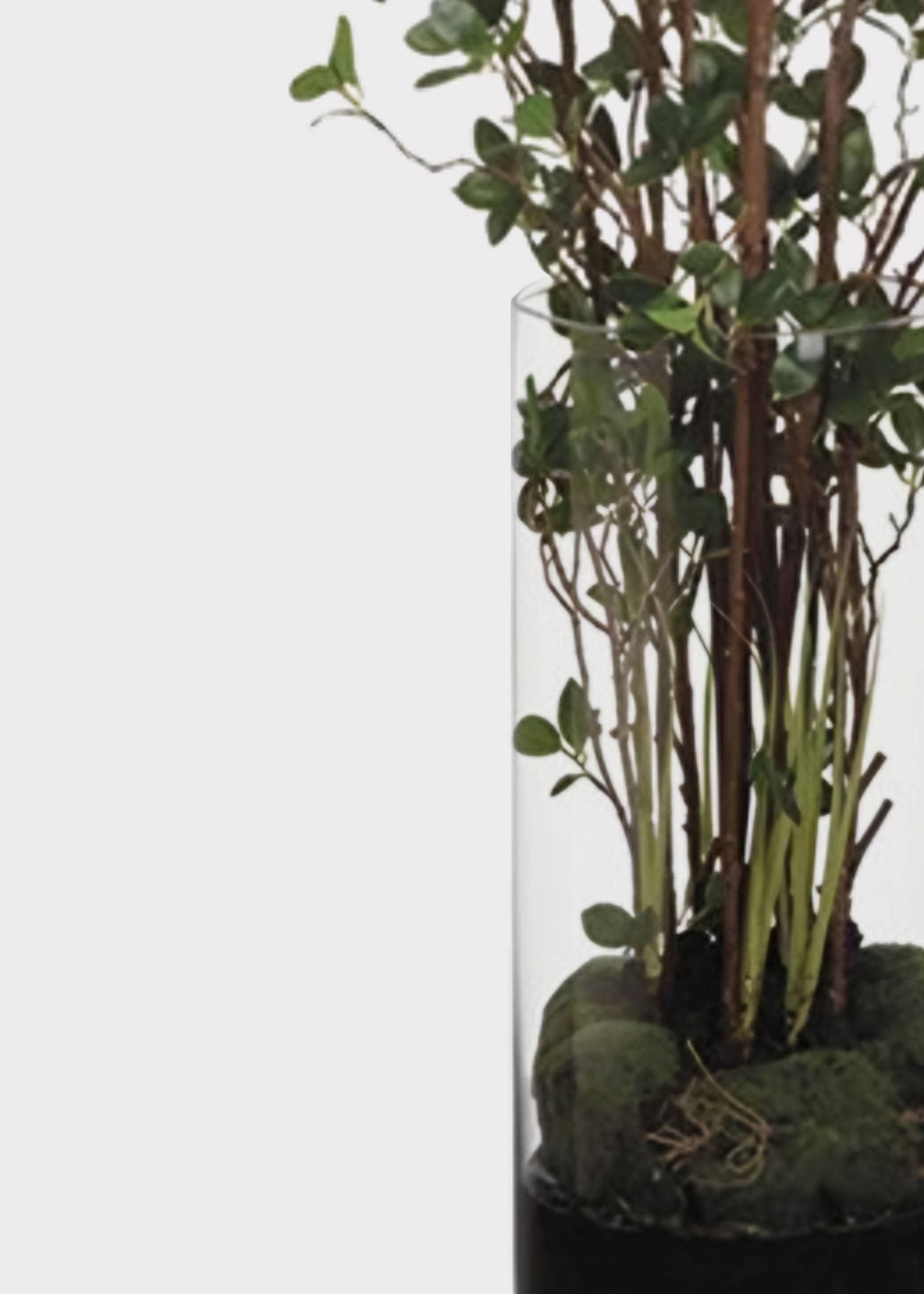 Artificial Tree Plant in Glass Cylinder Vase - 60"