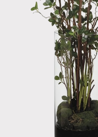 Artificial Tree Plant in Glass Cylinder Vase - 60"