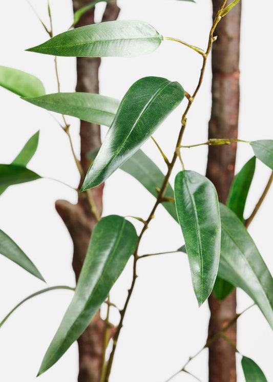 Deluxe Tall Fake Bamboo Tree Potted Plant in Cement Pot - 8'