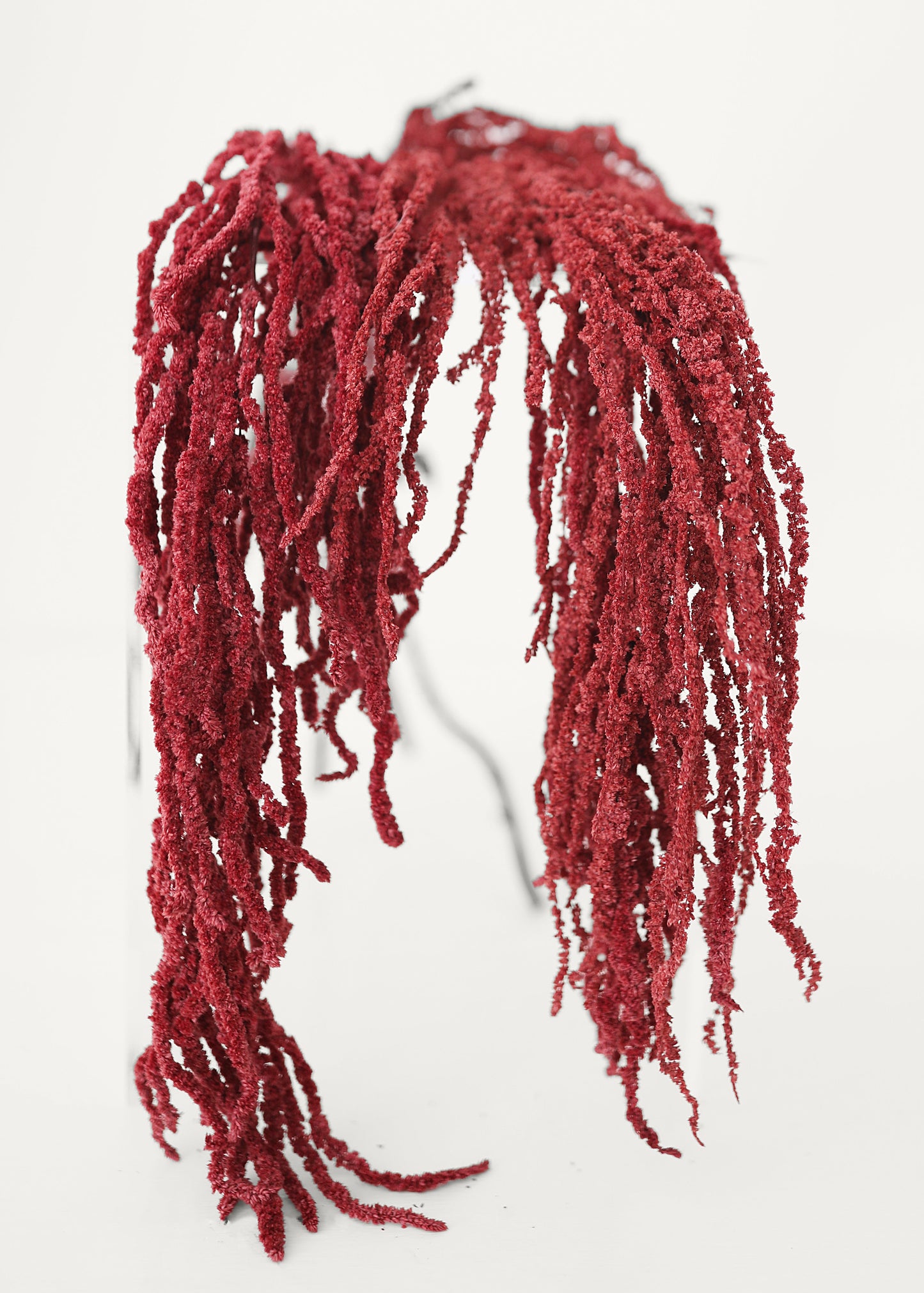Burgundy Preserved Hanging Amaranthus - 32-40"
