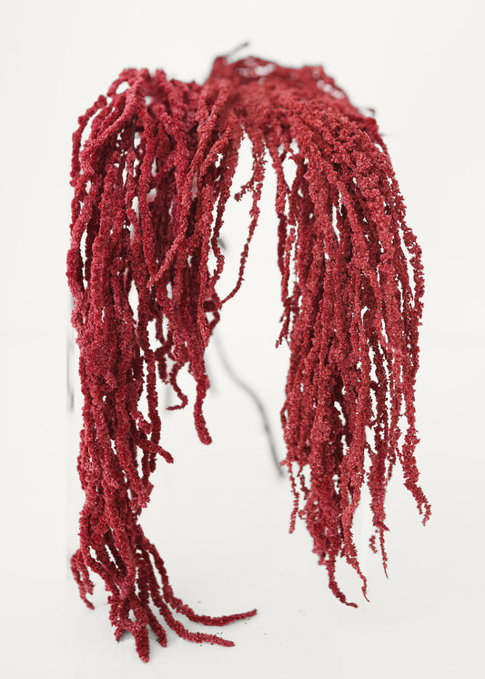 Burgundy Preserved Hanging Amaranthus - 32-40"