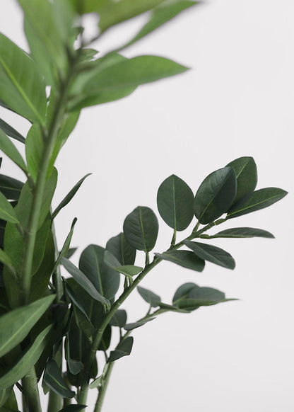 Artificial ZZ Tropical Plant in Pot - 30"