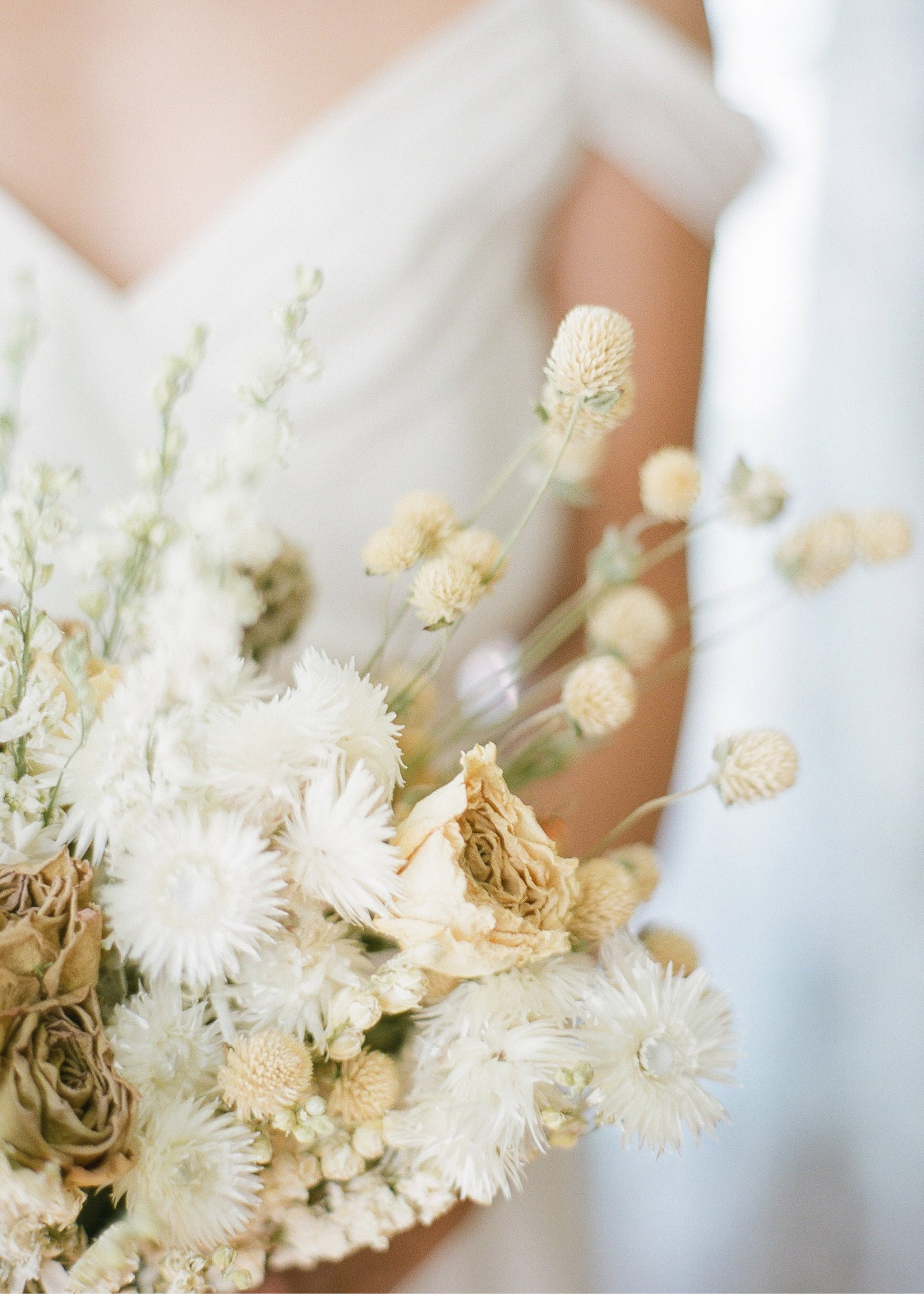 White Dried Helichrysum Everlasting Daisy Flower Bunch - 7-12"