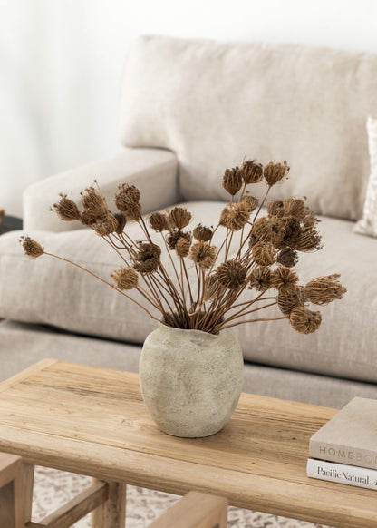 Natural Dried Queen Anne's Lace Flowers - 3.5 oz Bunch