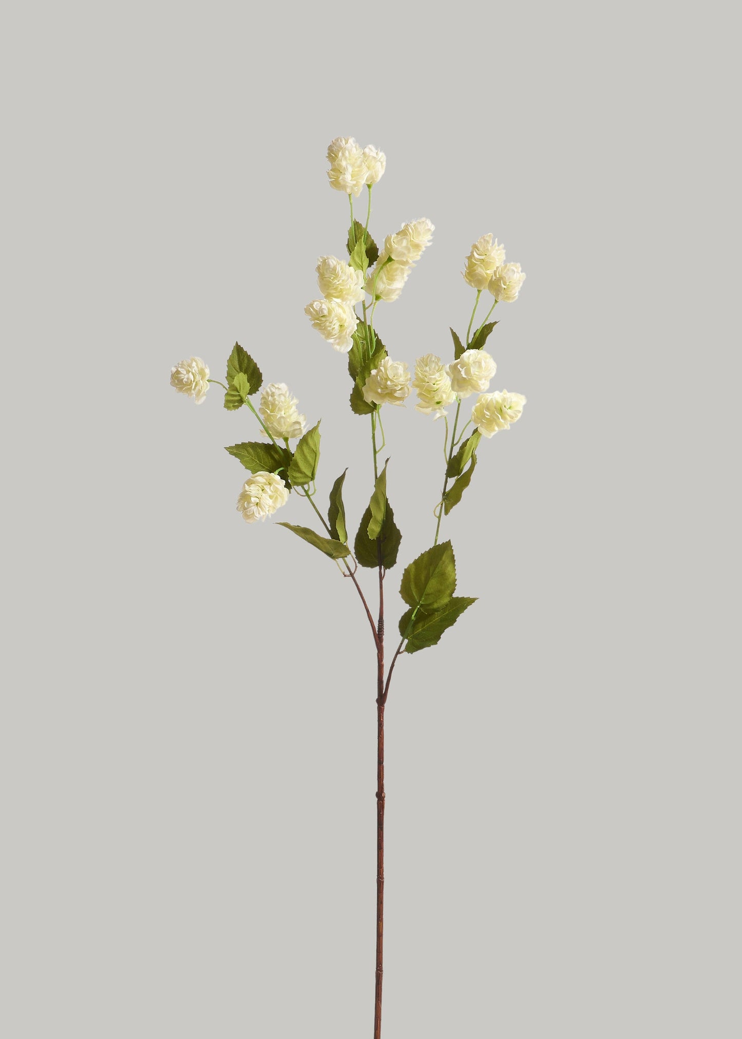 Tall Artificial Hops Branch in Cream Green - 40"