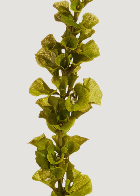 Green Artificial Bells of Ireland Flower Stem - 42"