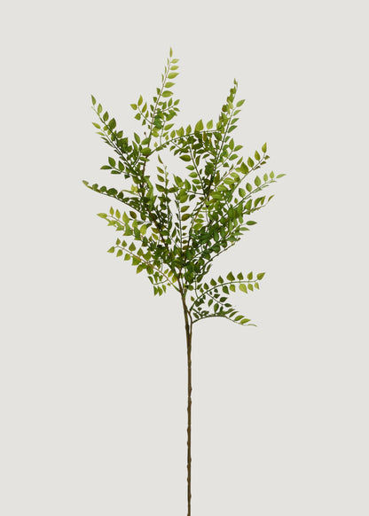 Artificial Ruscus Leaf Branch - 36.5"