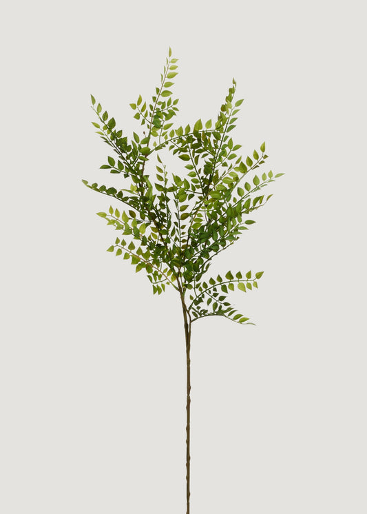 Artificial Ruscus Leaf Branch - 36.5"