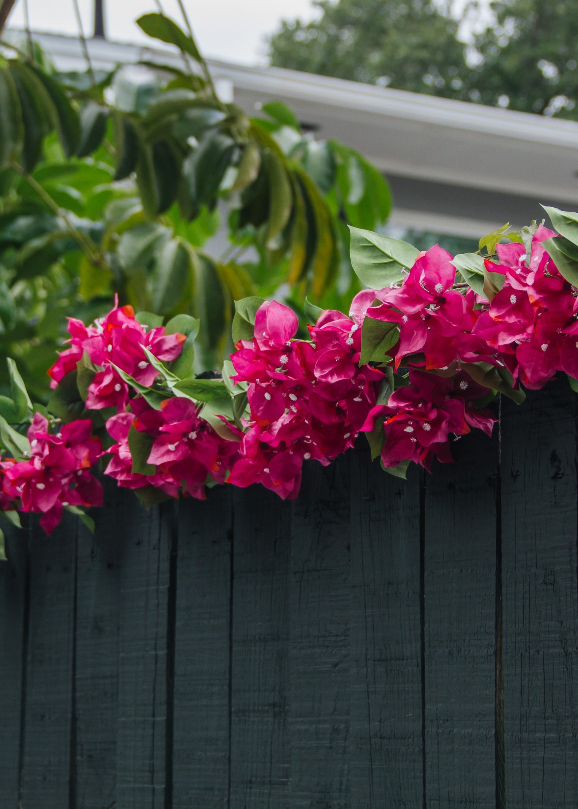 Fuchsia Pink Artificial Bougainvillea Garland - 72"