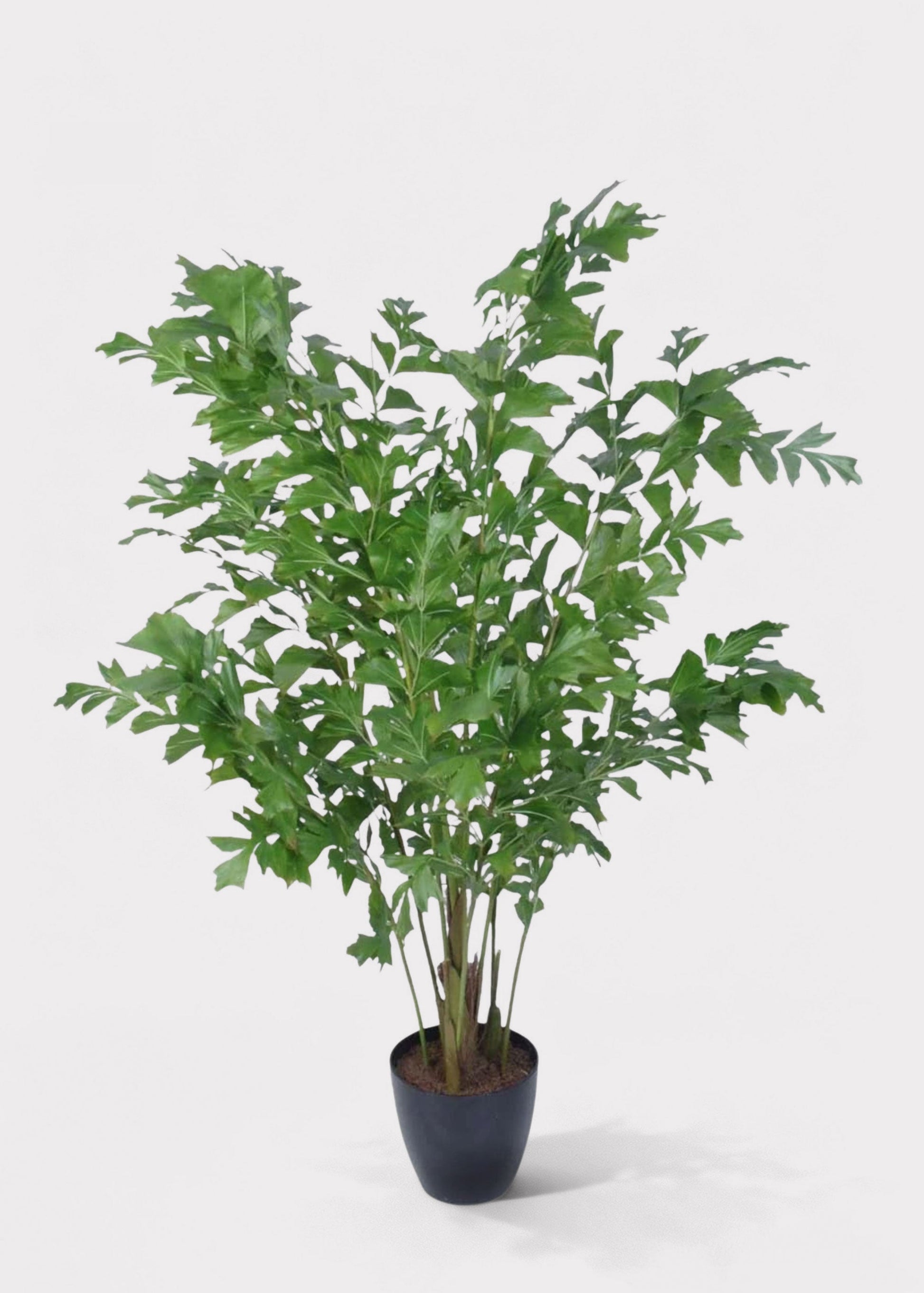 Artificial Potted Fishtail Palm Tree Plant - 63" Tall