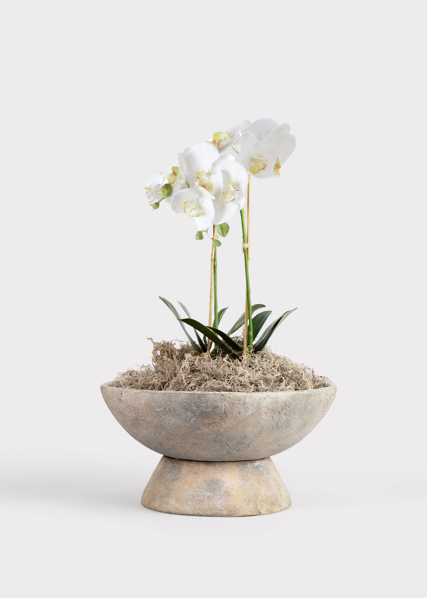 White Artificial Phalaenopsis Orchid Drop-In Plant - 23"