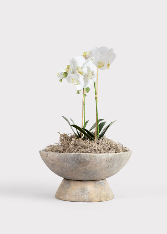 White Artificial Phalaenopsis Orchid Drop-In Plant - 23"