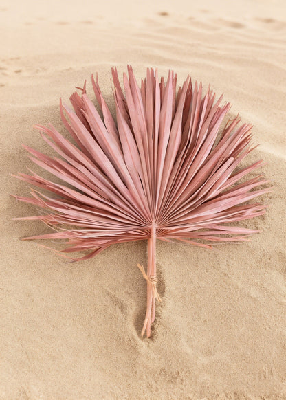 Pink Natural Dried Fan Palm Leaf Bundle of 4 - 29"