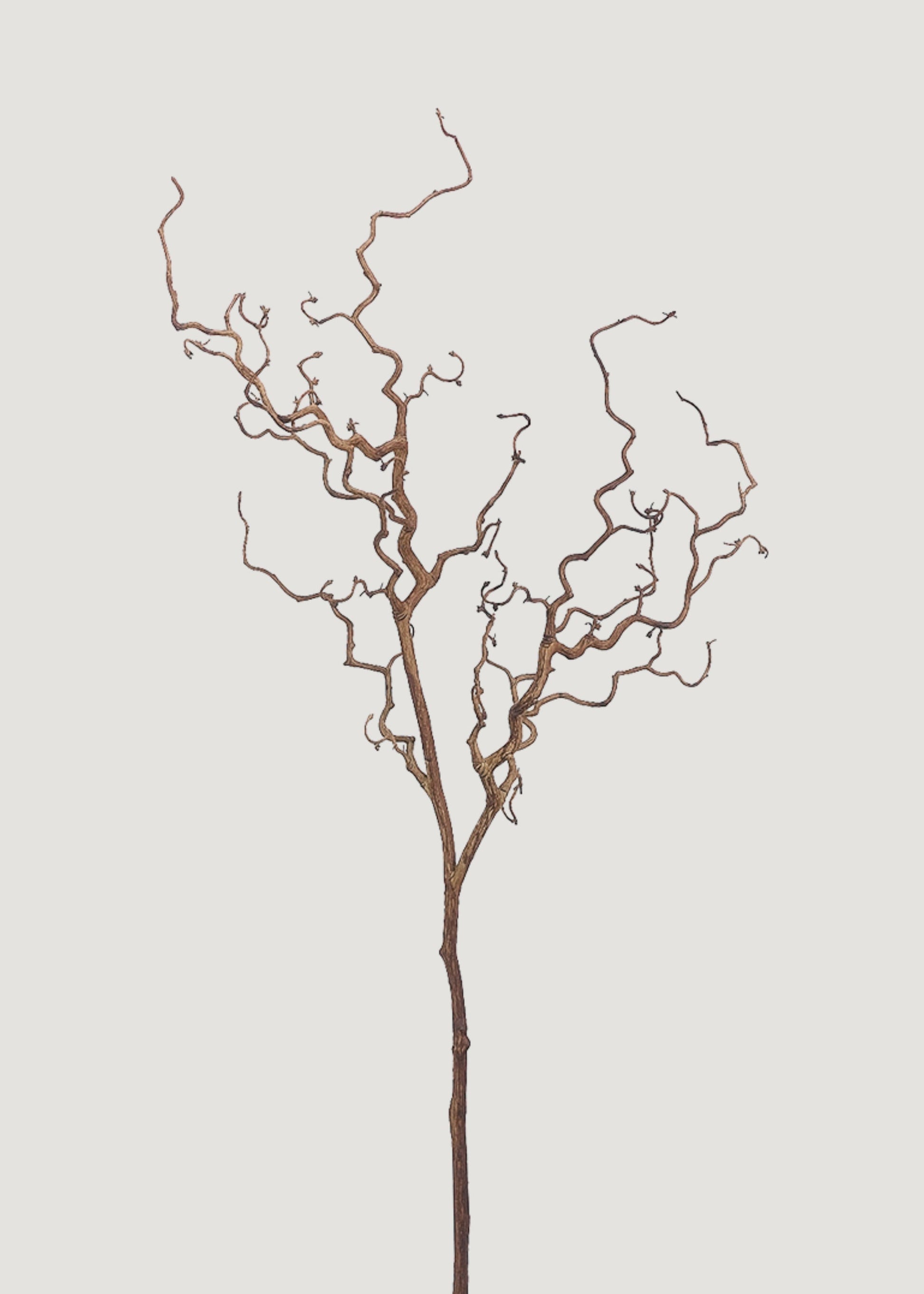 Dried Look Artificial Tall Branch - 47"